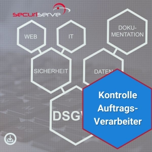 Muster-Kontrolle-Auftragsverarbeiter